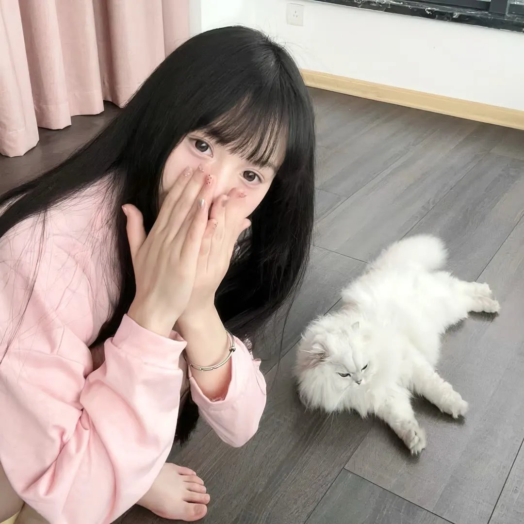 破产姐妹第六季